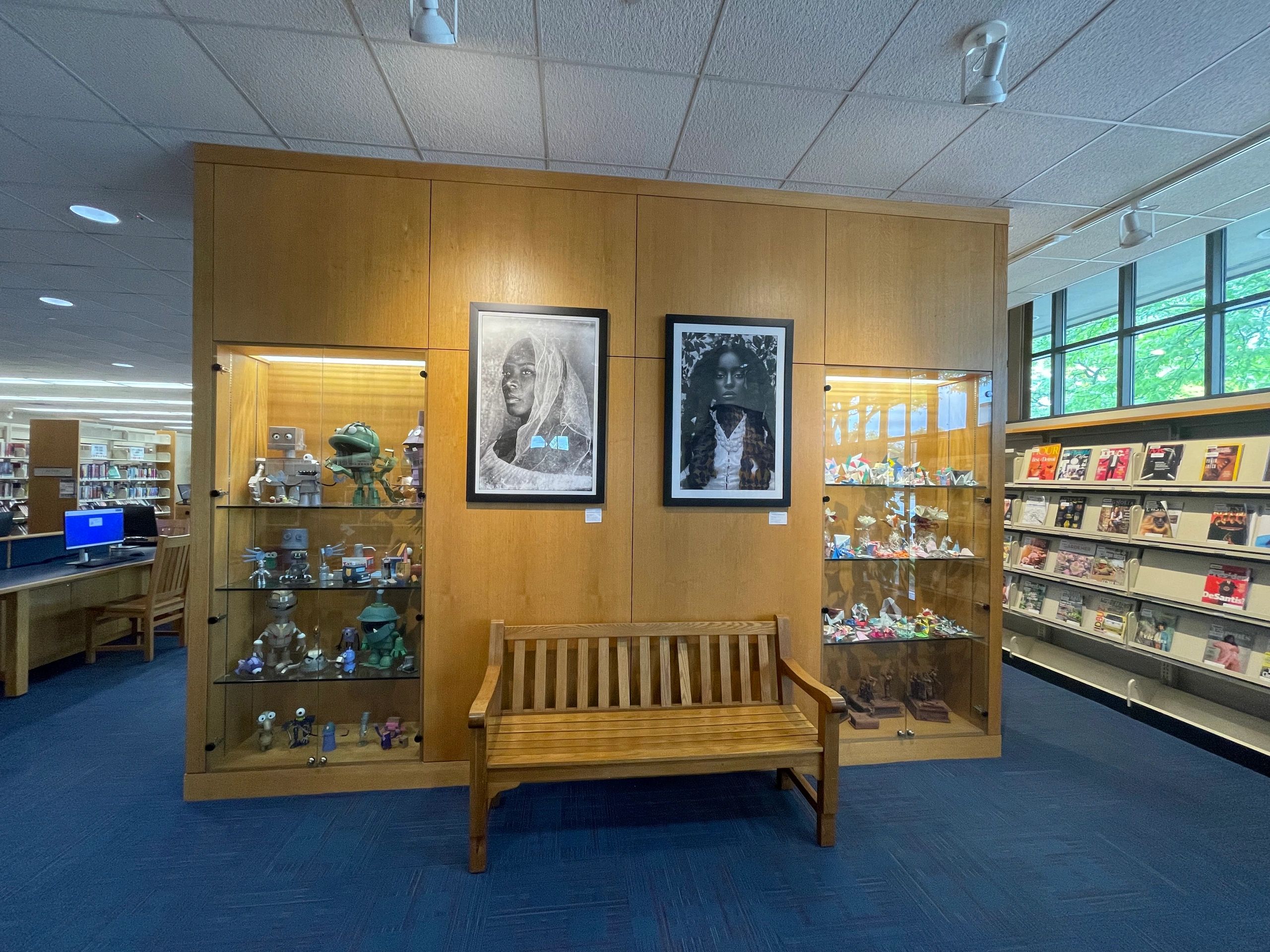 Berkley Public Library & Vitrine host "The Veiled Series"